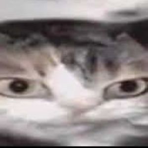 ogg_111