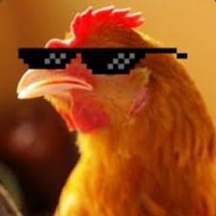 team_Vilzuz