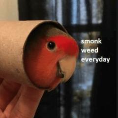 big_marko