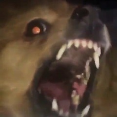 Soybad9