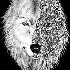 alydawolf avatar