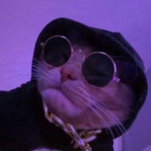 Wyws avatar