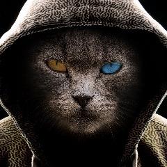 TARASZION avatar