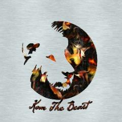 -Kom- avatar