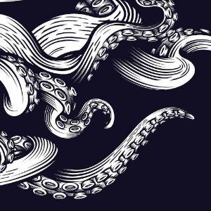 -_oktopus avatar