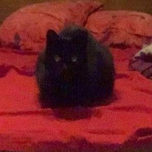 ProJurjanis avatar