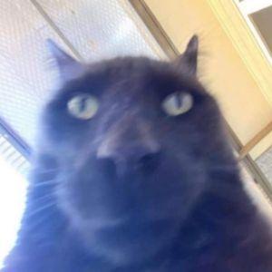_-G1n