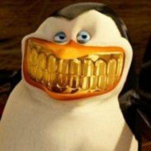 yarzz avatar
