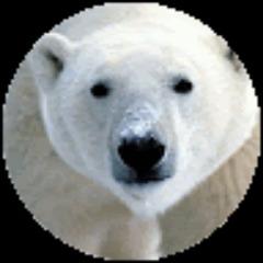 Polar-Bear_1 avatar