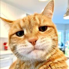 ManusBaba avatar
