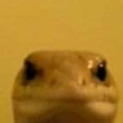 mertakbass avatar