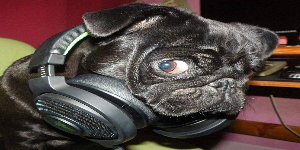DaViDjK avatar