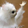 Poop2heaven avatar
