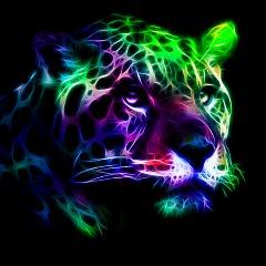 oleglazarev avatar