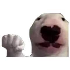 ActualZDB avatar
