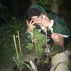 Player Pup0k- avatar