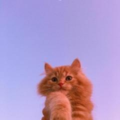Sasha_98__ avatar