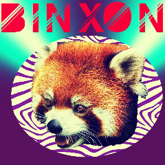Binxon avatar