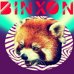 Player Binxon avatar