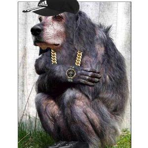 Hjos avatar