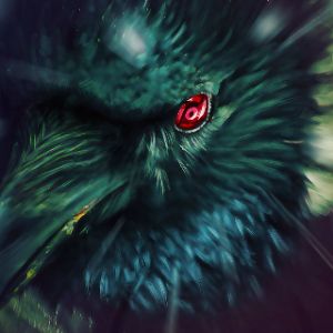 joncrz