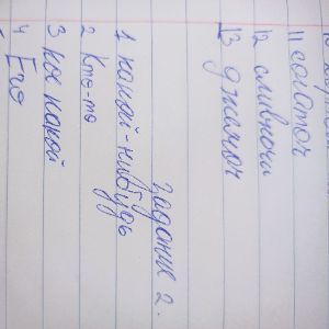 robcis555