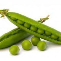 Player _PYKICH_ avatar