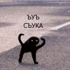 __ReVac__ avatar