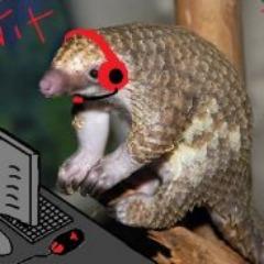 PtitPangolin avatar