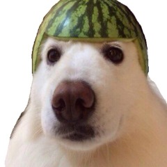 team_Vulktus