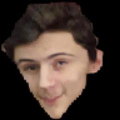The ViperRO