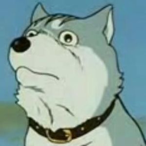 JooK88 avatar