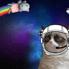 Packett avatar