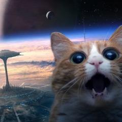 NoHaxJustKot avatar