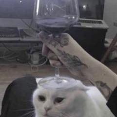 CatsLock avatar
