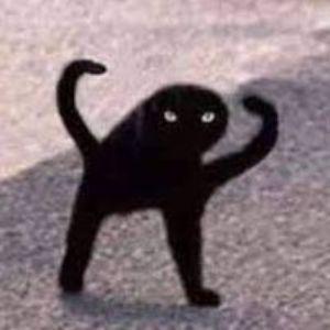 thewolfmane avatar