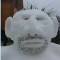 salferenzon
