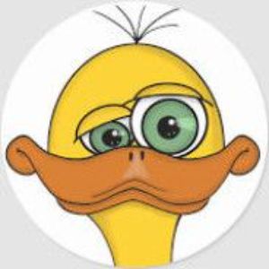 kani1 FACEIT avatar