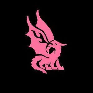 Player reasam avatar