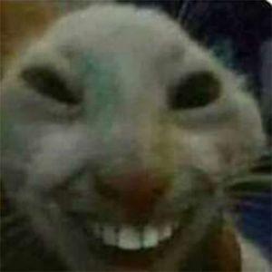 Ne-V-Rotik avatar