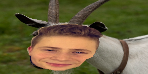 RaphaelTwat avatar