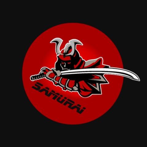 Gamer2000pro avatar