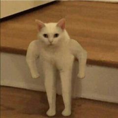 TiTPain avatar