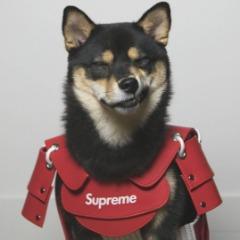 Sigumqa avatar