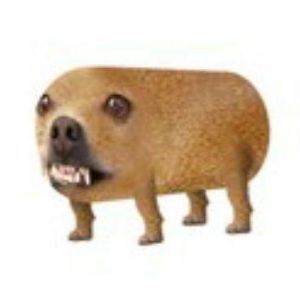 Yt0chkAPeAk