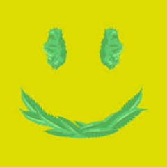 Player Brute_Force avatar