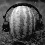 Oh_No_Melon