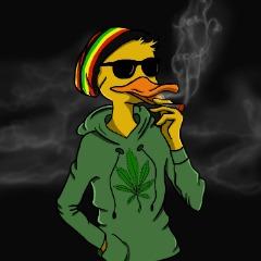Rewor avatar