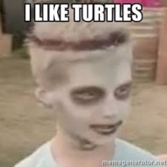 LIKE-TURTLES
