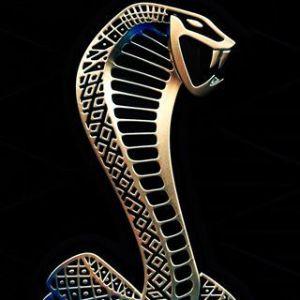 v8supersnake avatar